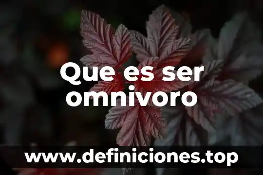 Que es ser omnivoro