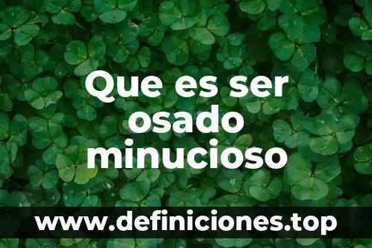 Que es el significado de baso 5 Que es ser osado minucioso