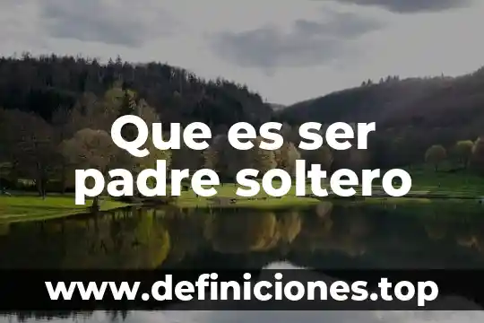 Que es ser padre soltero