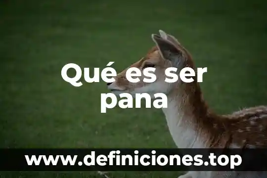 Que es el ser para platon 7 Qué es ser pana