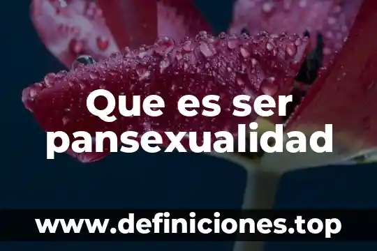 Que es ser pansexualidad