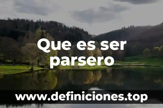 Que es ser parsero