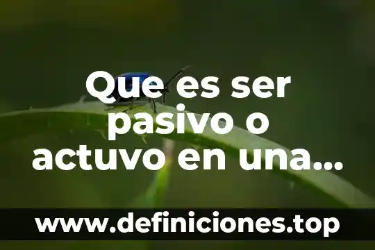 Que es ser pasivo o actuvo en una relacion gay