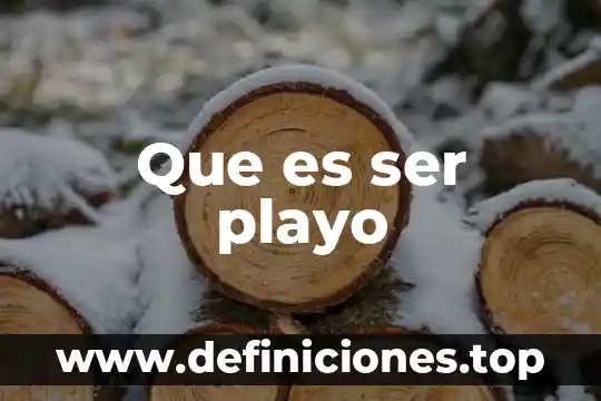 Que es el ser para platon 5 Que es ser playo