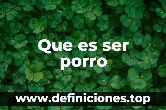 Que es ser porro