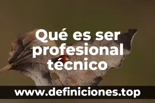 Qué es ser profesional técnico