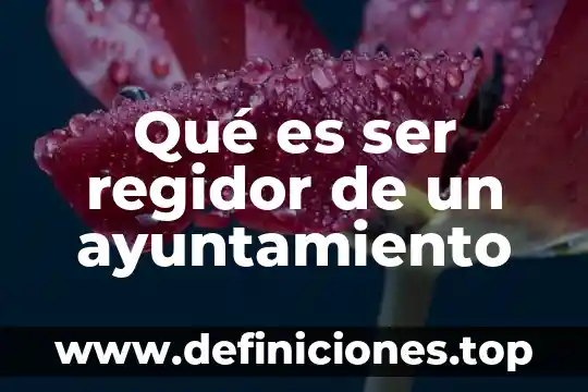 Qué es ser regidor de un ayuntamiento