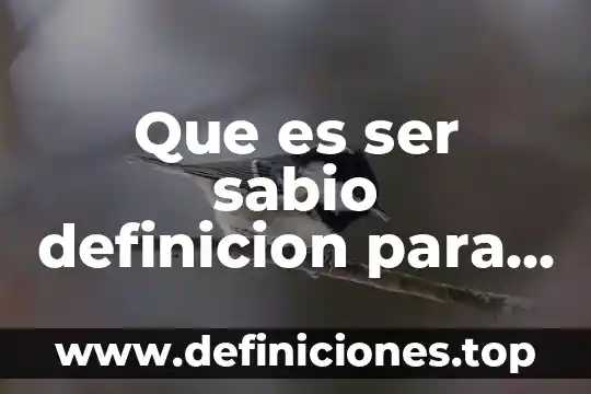 Que es ser sabio definicion para niños