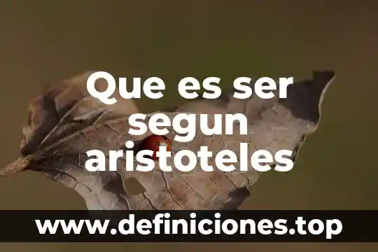 Que es ser segun aristoteles