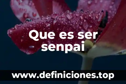 Que es ser senpai