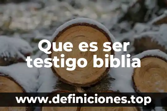 Que es ser testigo biblia