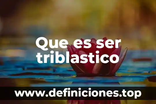 Que es ser triblastico