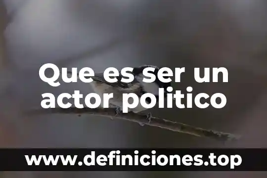 Que es ser un actor politico