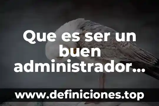 Que es ser un buen administrador según la biblia