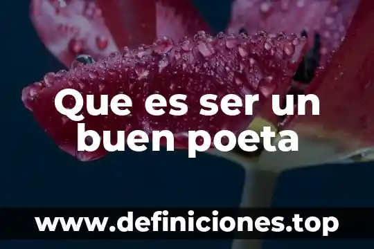 Que es ser un buen poeta