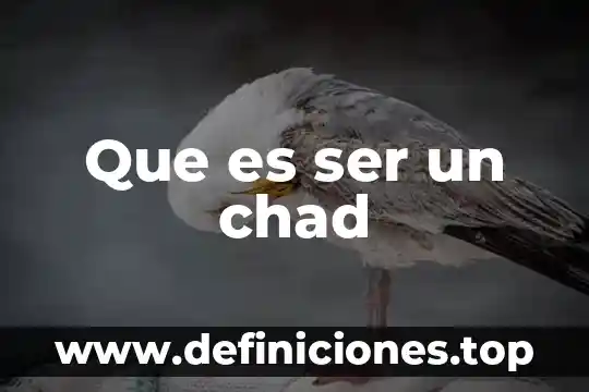 Que es ser federado en un deporte 3 Que es ser un chad