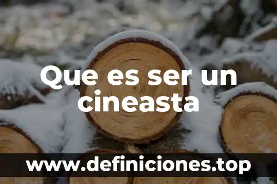 Que es ser un cineasta