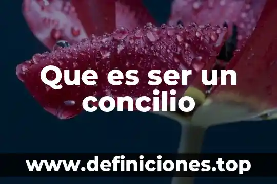 Que es el ser para platon 6 Que es ser un concilio