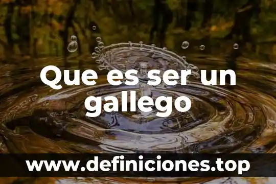 Qué es un sistema en procesos de manufactura 7 Que es ser un gallego