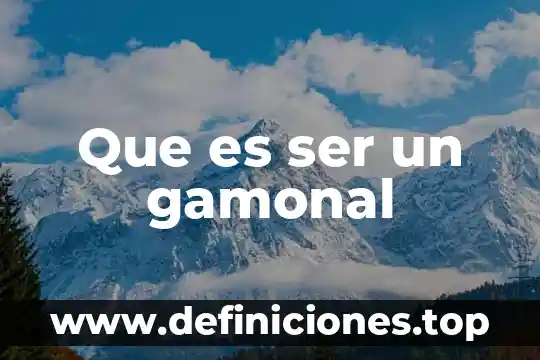 Que es ser un gamonal