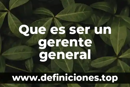 Que es ser un gerente general