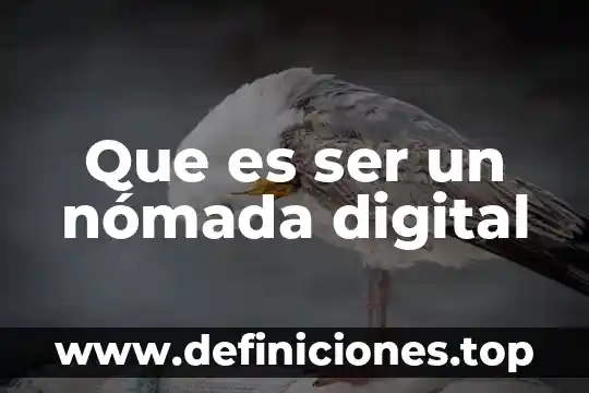 Que es firma electronica digital y digitalizada 6 Que es ser un nómada digital