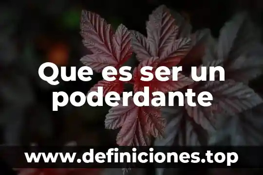 Que es ser un poderdante