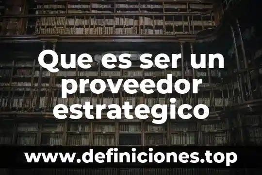 Que es n proveedor de primer nivel 3 Que es ser un proveedor estrategico