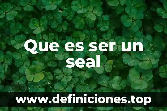 Que es ser un seal