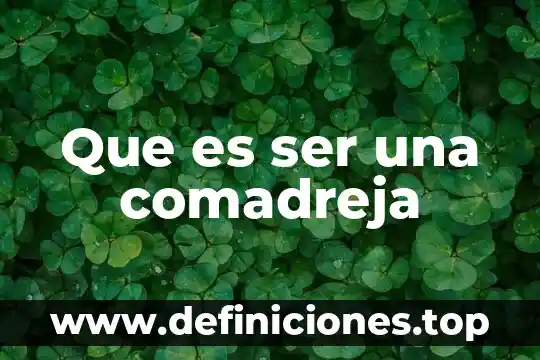 Que es ser una comadreja