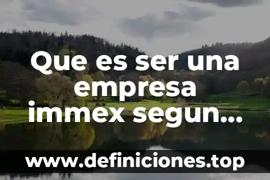 Que es ser una empresa immex segun el sat