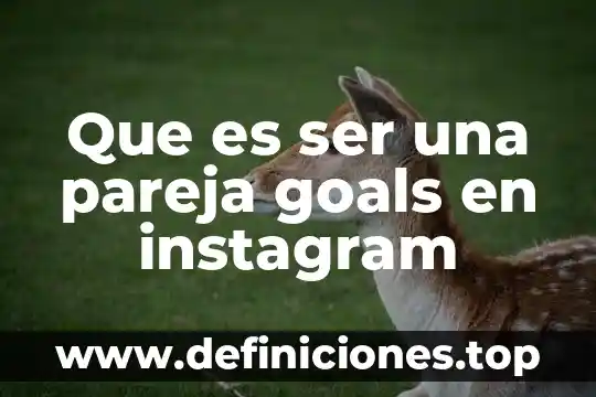 Que es ser una pareja goals en instagram