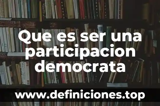 Que es ser una participacion democrata