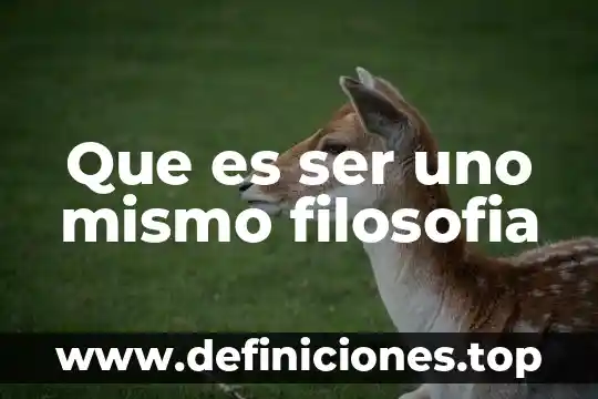 Que es ser permisivo con uno mismo 4 Que es ser uno mismo filosofia