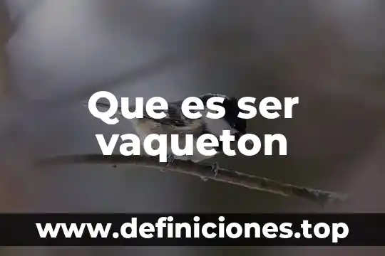Que es ser vaqueton