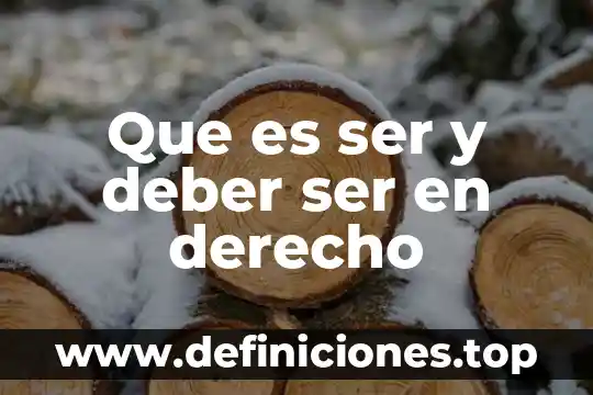 Que es ser y deber ser en derecho