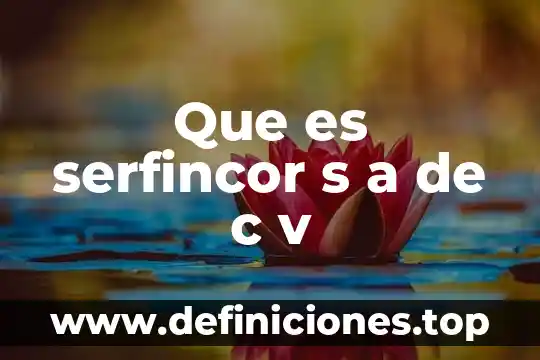 Que es r de v a c en terminos contables 8 Que es serfincor s a de c v