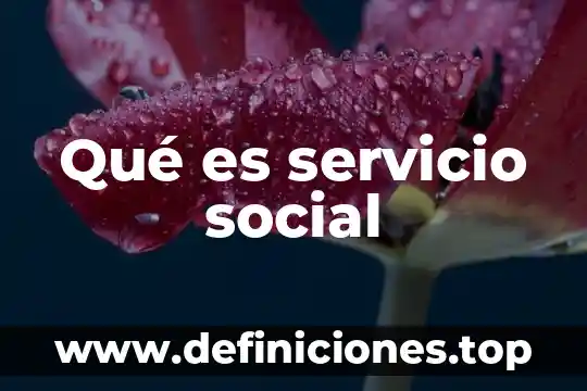 Que es clase rupos social 6 Qué es servicio social