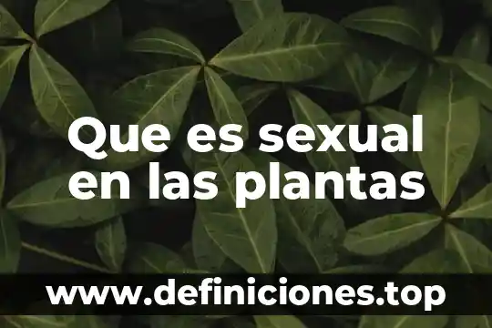 Que es la propagacion sexual de las plantas 8 Que es sexual en las plantas