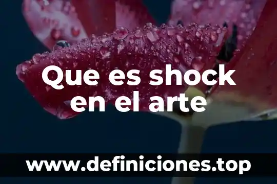 Que es shock en el arte