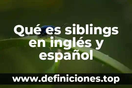 Qué es una reliquia en inglés 5 Qué es siblings en inglés y español