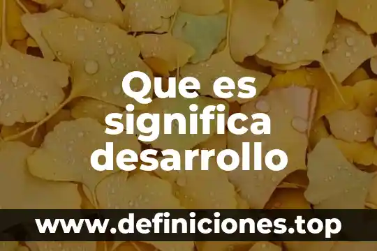 Que es significa desarrollo