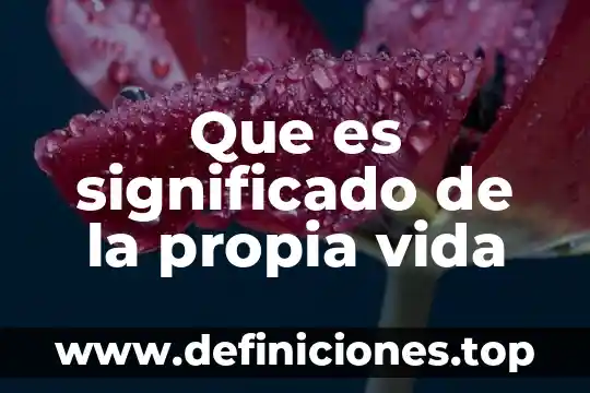 Que es una fraccion propia y tres ejemplos 3 Que es significado de la propia vida
