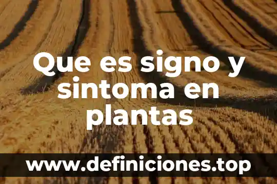 Diga que es la prueba confesional formulación y audiencia probatoria 3 Que es signo y sintoma en plantas