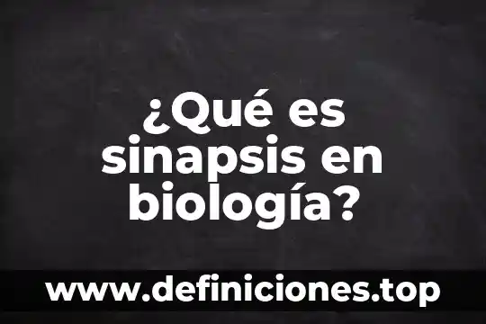 Qué es la endocitosis en biología 6 ¿Qué es sinapsis en biología?