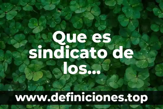 Que es el estatuto de los trabajadores de la educacion 5 Que es sindicato de los trabajadores al servicio del estado