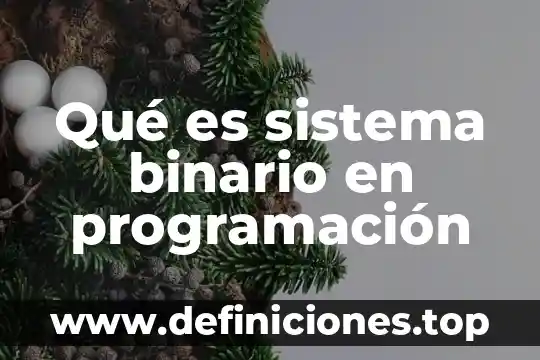 Que es un binario en informatica 6 Qué es sistema binario en programación
