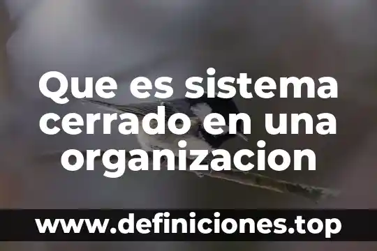 Que es sistema cerrado en una organizacion