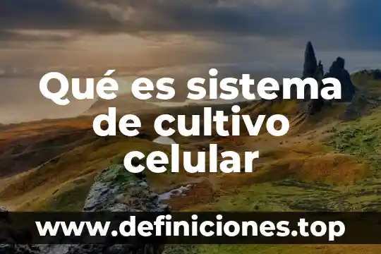 El sistema digestivo que es 7 Qué es sistema de cultivo celular
