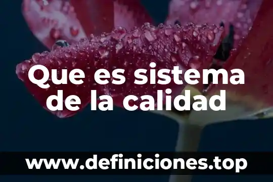 Que es sistema de la calidad